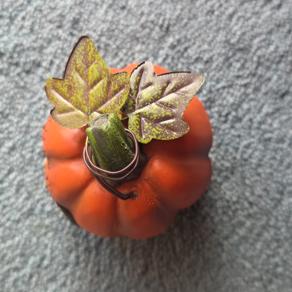 HARVEST BLESSINGS PUMPKIN - Picture 5 of 5